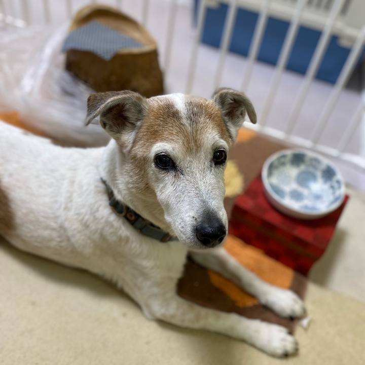 6266392a 2ddd 42a1 bafc f9c993f8ebff 1656458421163