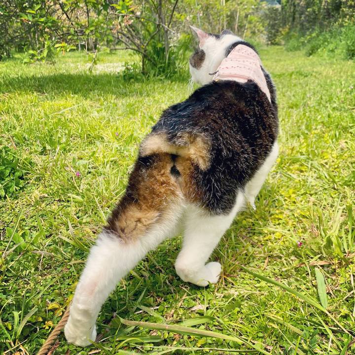 62665360 f22c 44a7 b640 dc788dc3d54c 1619329480361