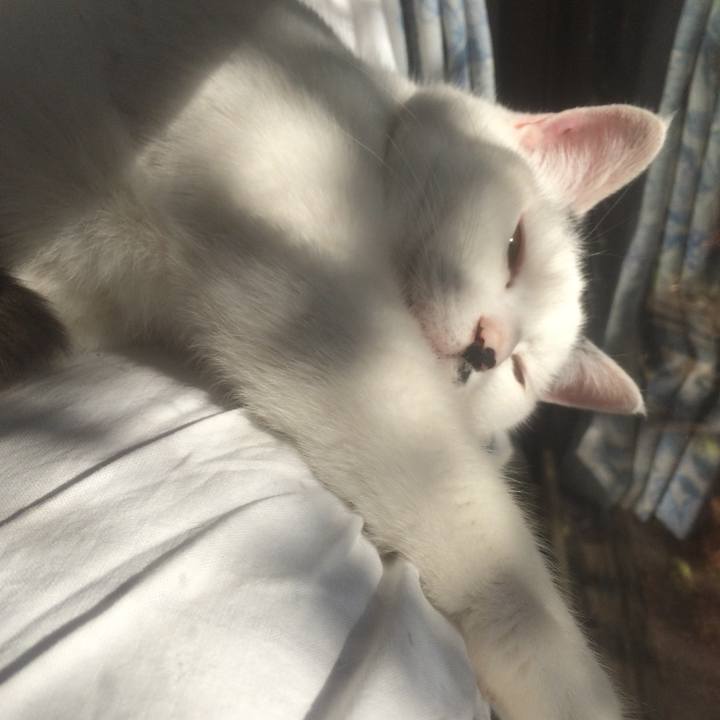 6266772a bad6 4879 8daf ab1ffe8bf2a0 1544874811655