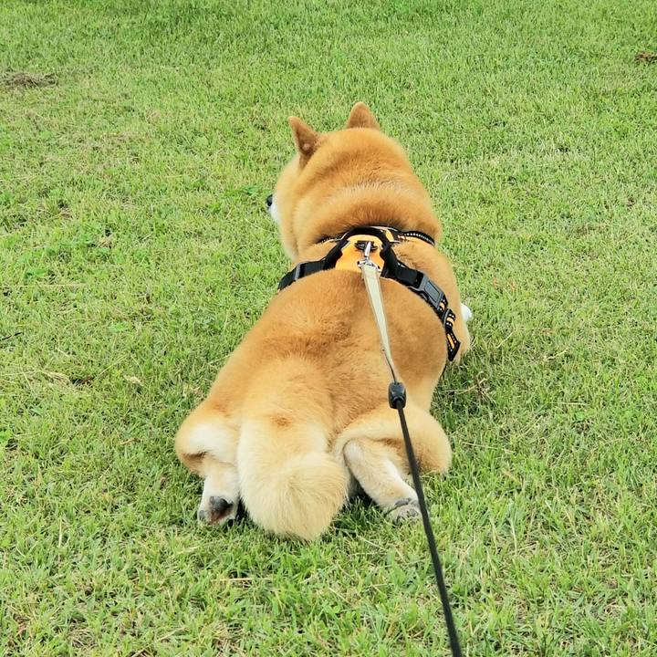 62667924 38bf 4661 a60a 51ed28c1ed05 1654927141345