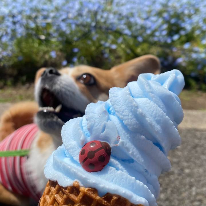 62667d41 ba0f 4f7f 9888 2502bf77e77c 1775958762963