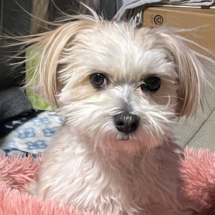 62668bd4 f89a 4653 88b9 ea14a3c33100 1771580661319