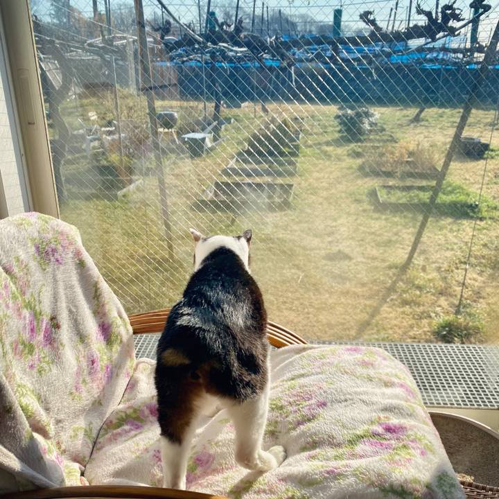 62668c49 f7de 4687 ac34 358d3c70f21e 1615331889309