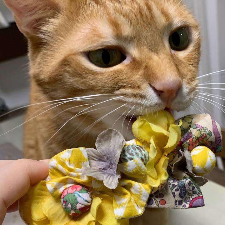 6266a65c 161a 4d49 affb d9efa412053b 1579358856393