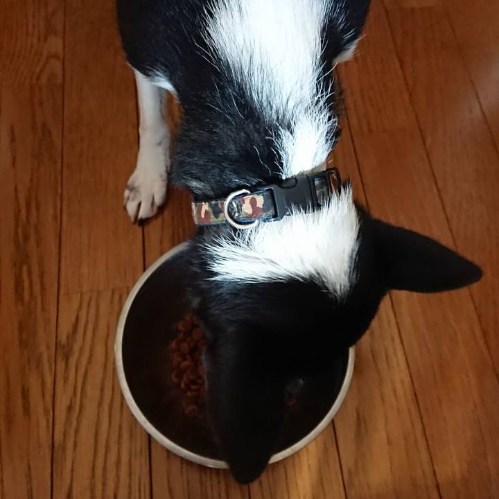 6266dc07 7e58 49f9 889a 3fc8701ddb8a 1508890571146