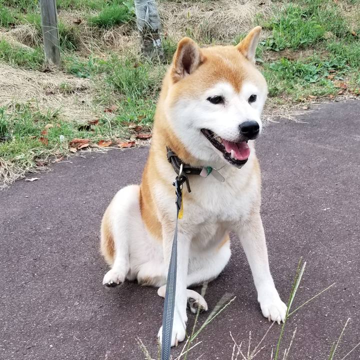 62673706 8297 4df5 b7ff 7beb346ce0ec 1600332512308