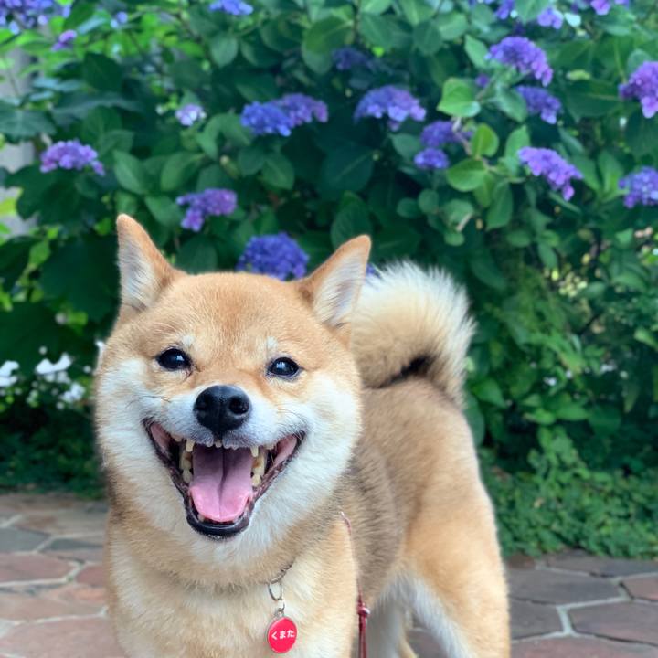 626738bf 6ccb 465e adff 9b7ae698cbe5 1779960280158