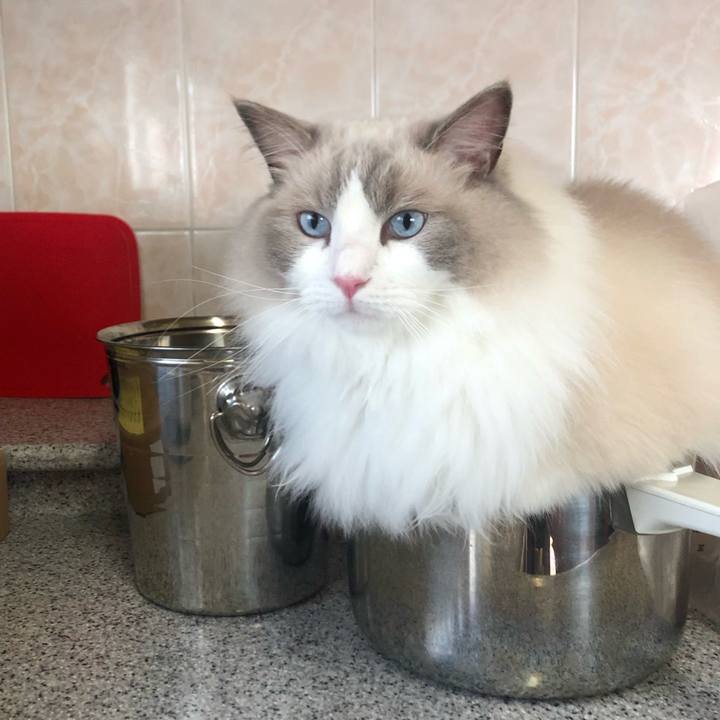 62673aec 4efc 4150 934f b64538cf3240 1631407905634