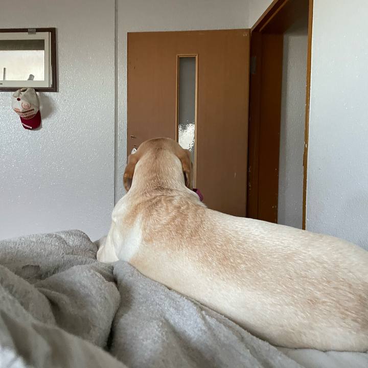 62673eed 1eaa 4888 ae63 efc1261c3442 1659577513425