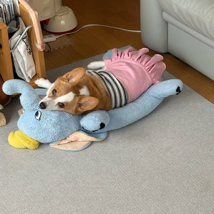 62675d7e 4b9a 44ff 9bc7 d6b7b0745e4f 1770782936394