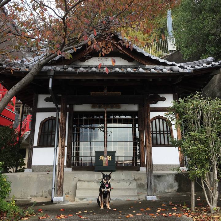 626768a7 220f 4d86 b4da 62874f4928fe 1510365552906