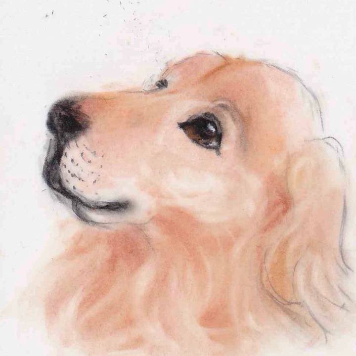 62678bb2 492c 4651 bd6f 7b0f66a69e66 1656639748999