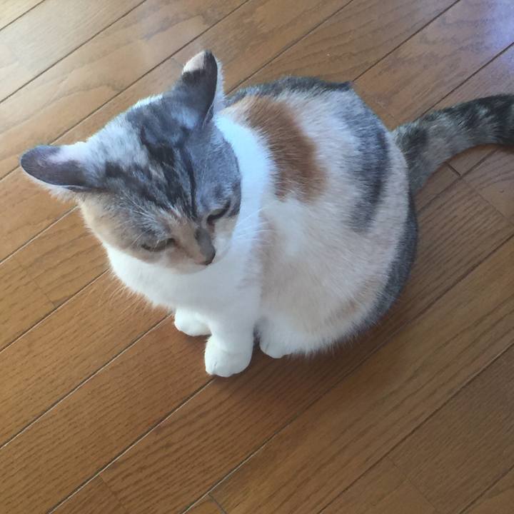 62679205 0200 4fdc 9ca7 41f3fe232c54 1574230789958