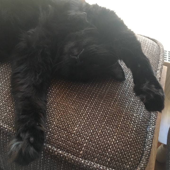 6267c2a7 1669 45b0 ab4a 789cbf6e138a 1522412923626