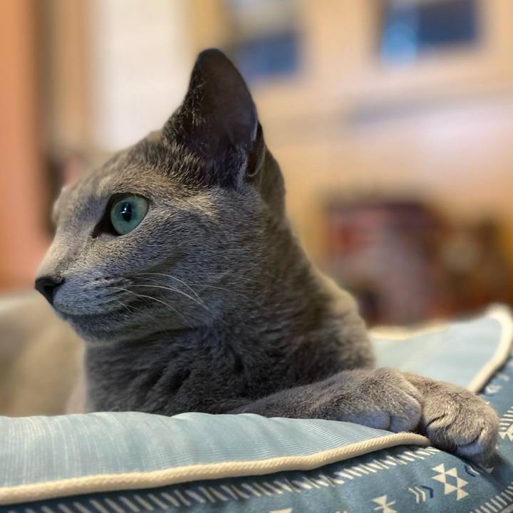 6267da11 17cf 4be2 9080 8007d0dbd394 1623899969891