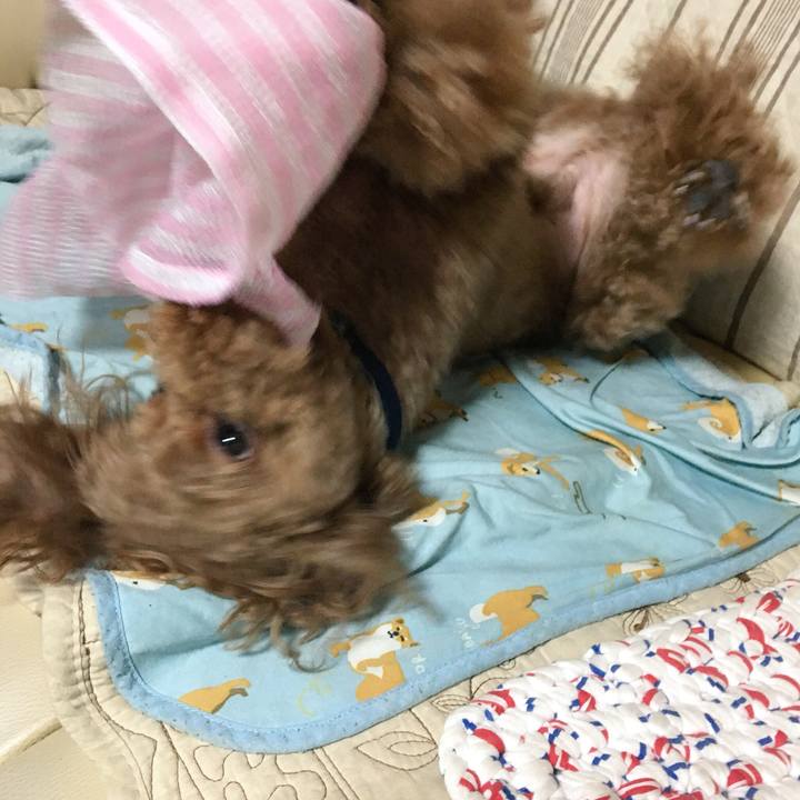 62682656 1fb0 45d0 96a3 e4175ac9e20e 1537518326020