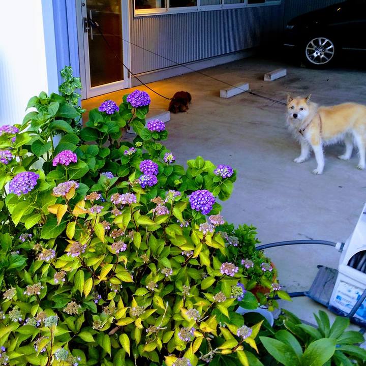 626828e7 9a52 41df 80ba 2806aeb5f367 1559730492467