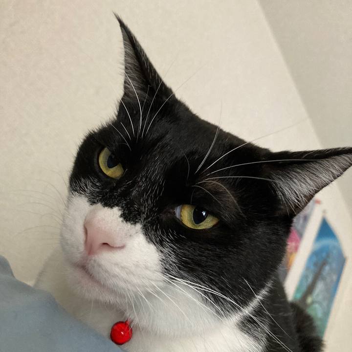 62683094 a2a7 46bb bac2 d082ba6496c0 1613217739582