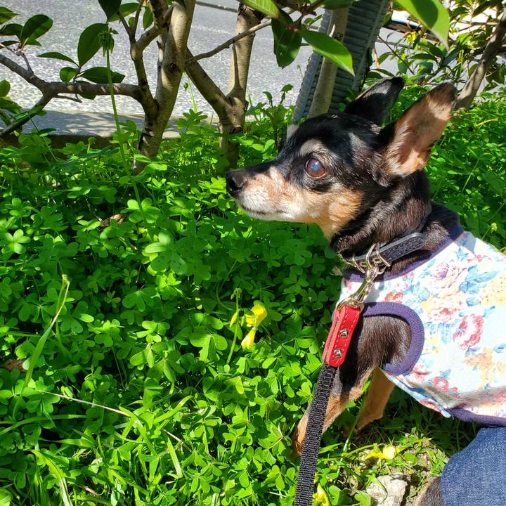 62683543 7712 4d38 8a59 8a0ad85f2777 1676697041763