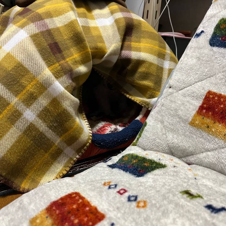 626853f0 c8fc 4ffb 8ab3 942a7b0f520c 1712104526264