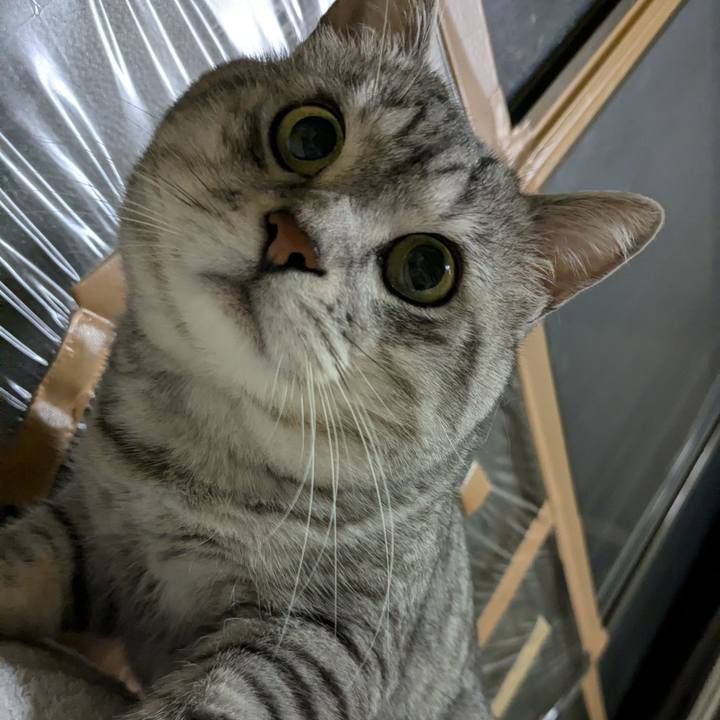 62687bf0 dbb3 42fb a497 4cc207d1302d 1718896205865