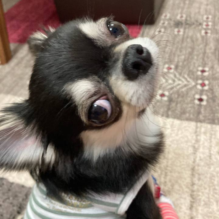 62688db2 627f 4549 9073 e3bc506711f5 1619271498345