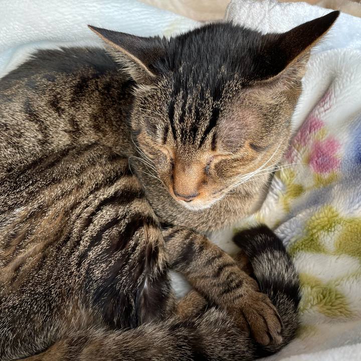 62689610 453b 4830 9253 39f647eb1f61 1615773023229