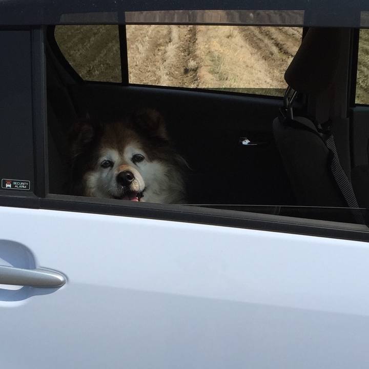 6268a57d 3073 4ba1 8efb 07d955855645 1610326681213