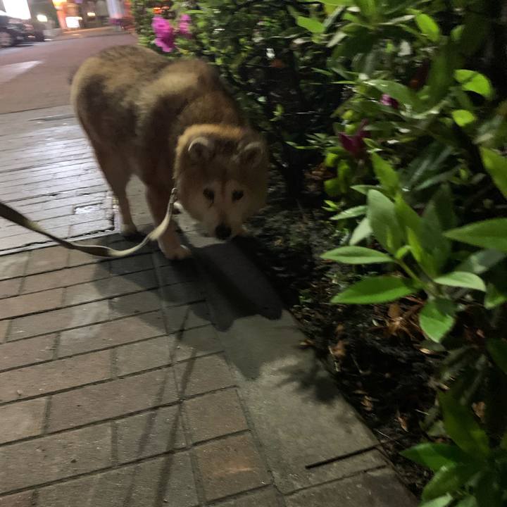 6268b15e 2a80 46b0 88bd 9311fa2ae327 1650026784269