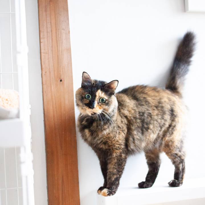 6268b92d 3f15 45ab ad8e 0d870ac544b5 1573825168956