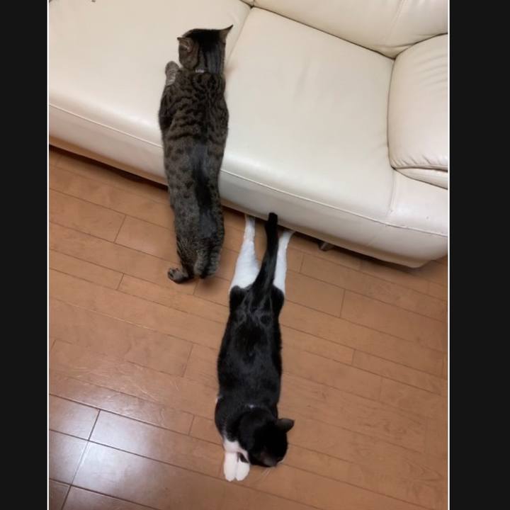 6268d924 895e 407f b896 c5c8e7be6223 1660117566687