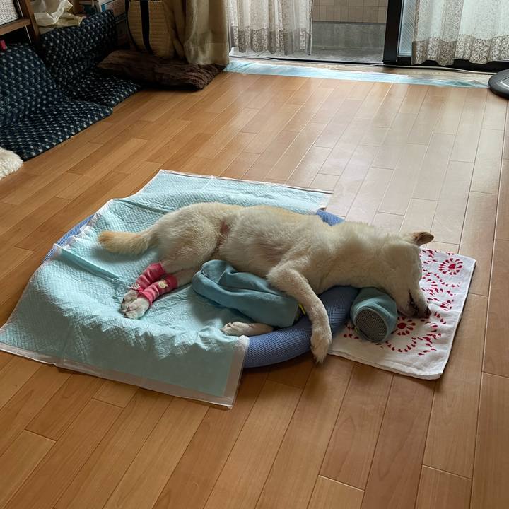 6268e951 741f 451e 94cf 4ce383106d9f 1662676667620