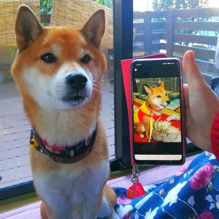 6268ee3a 00b6 4461 a76c 4f0a863bbb7a 1671498571045