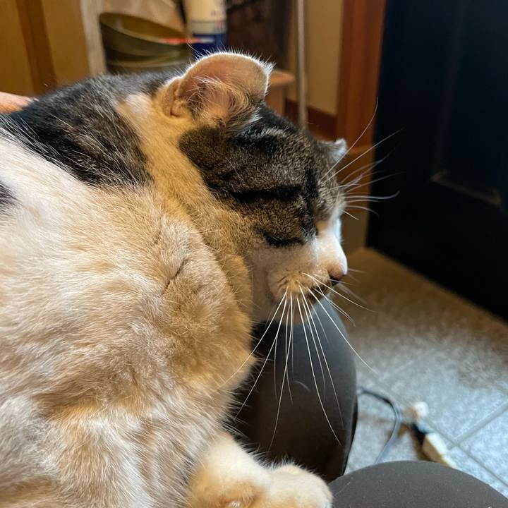 62690cbd c7fe 4561 8182 37e147adf91b 1673689577962