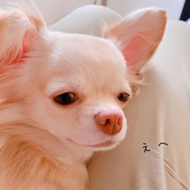 62690d0c dfcb 487e a4c5 1ac5c254ffdb 1624306470761