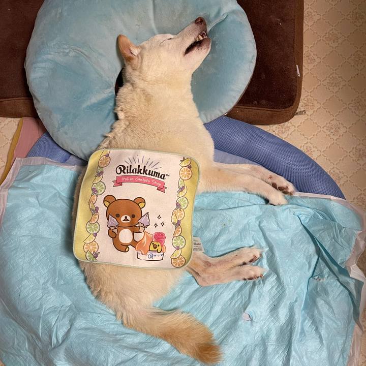 626934bf 2b12 4f1e 97d4 15efe506df11 1664190261623