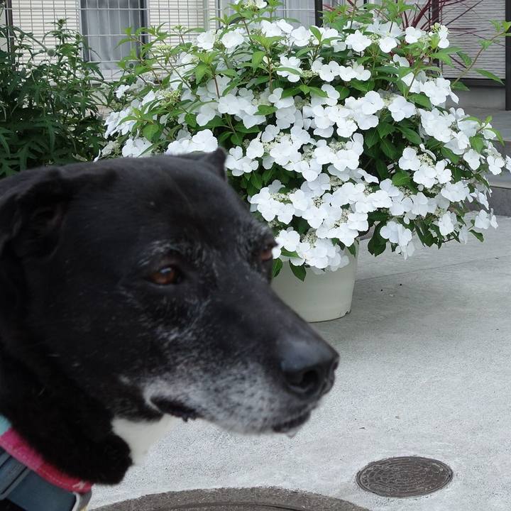 62696d03 f1c4 4674 b25e 1556dca5a9c0 1748479748439