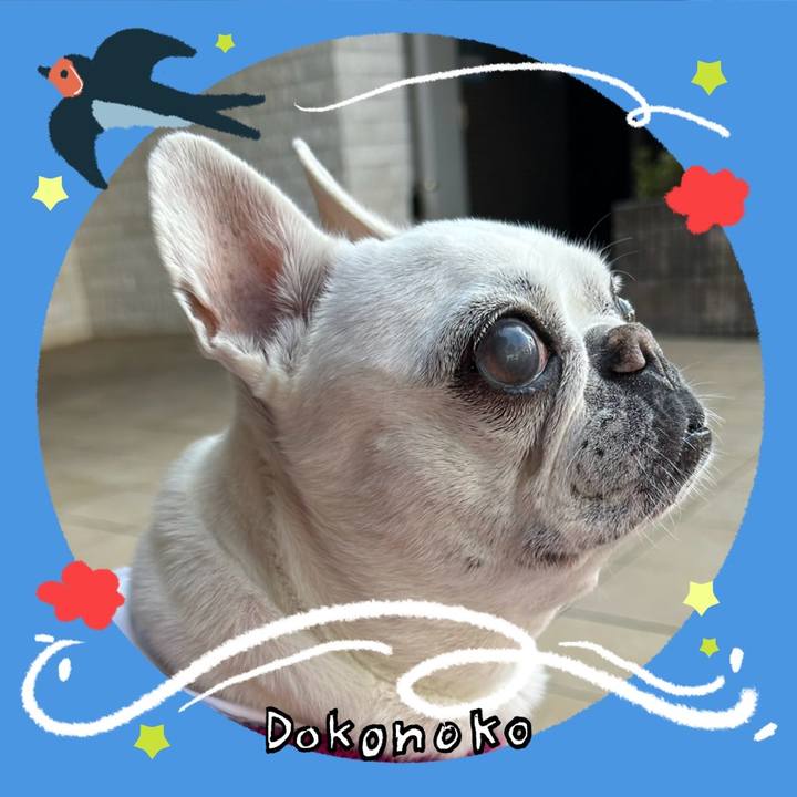62697c68 f50f 4012 8484 f17cec57b676 1779524242825