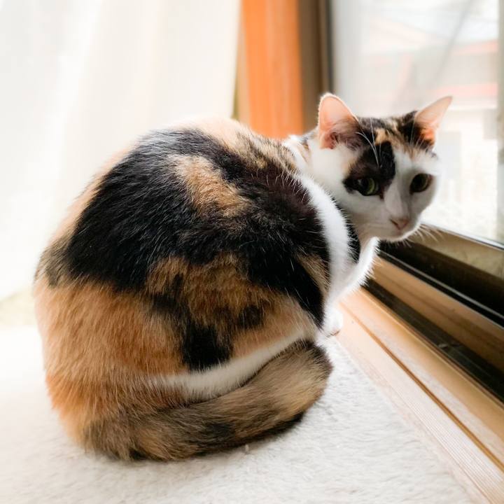 6269a519 9ee4 4257 8179 135302dc451b 1569808642393