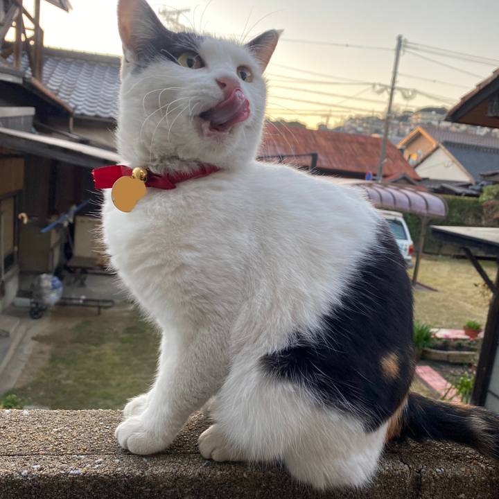 6269cdd6 5c29 48eb 9f5f eb33ae58e3e3 1639434492560