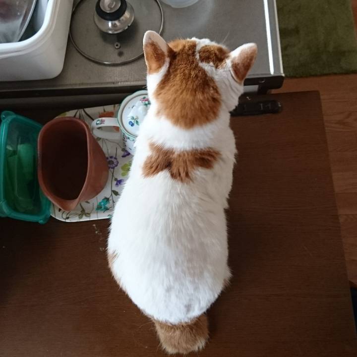 6269e13c 75e6 40d7 81ae a7aaa4ef7332 1577769301991