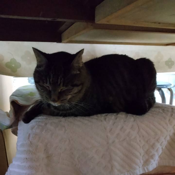 6269e46c b3ce 4e71 b2ab 32eb7f7d918f 1667861526465