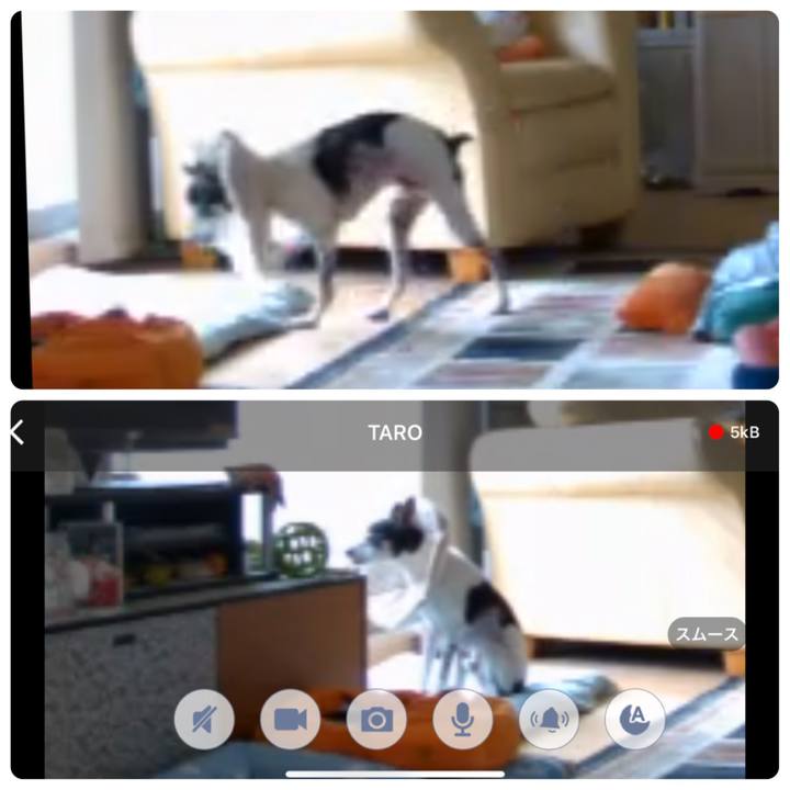 626a1352 c12d 4750 9aa7 eb69304e0a31 1654573995480