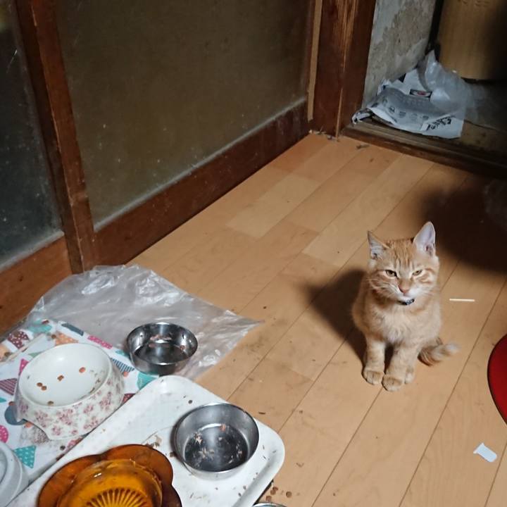 626a5a12 4462 4a4a b851 d9309c4bc09a 1634242971017