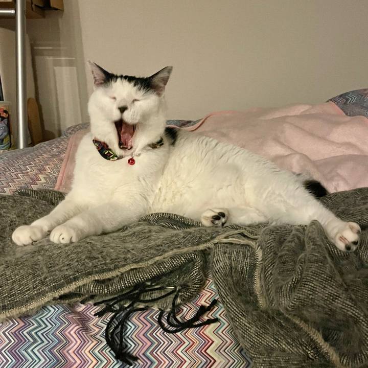 626a7262 63d5 46d9 aaca d0f750ef6b60 1641805612970