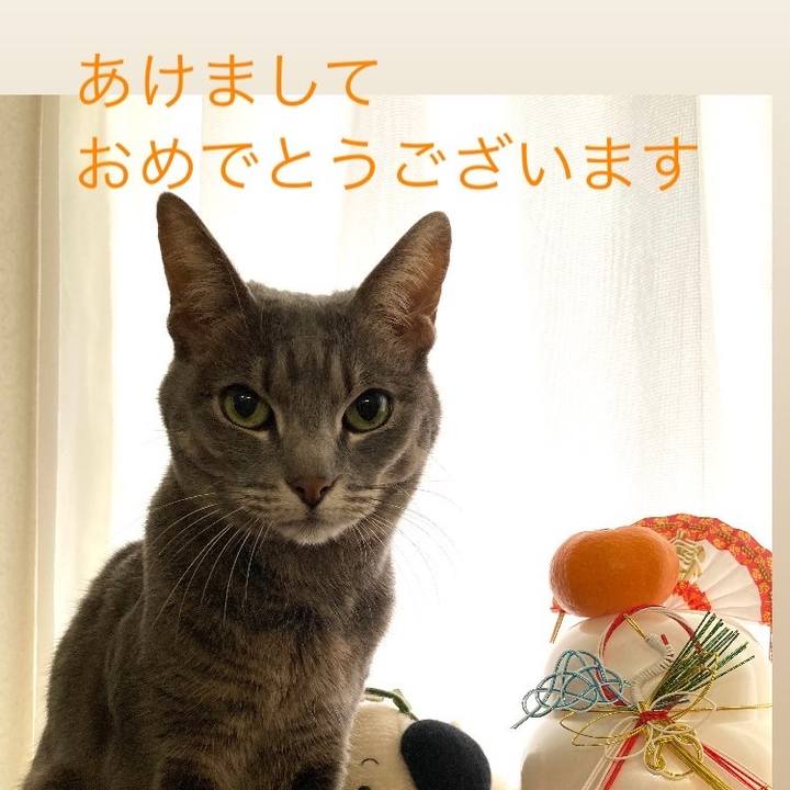 626a7a64 3bcb 4017 bc4e 00af17cb73fa 1735909820540