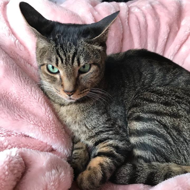 626a9811 b160 44ee 8021 4149625547a7 1516325524092