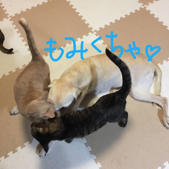 626ab3d9 fdb0 4079 99ca 0b8b79930486 1549795955947