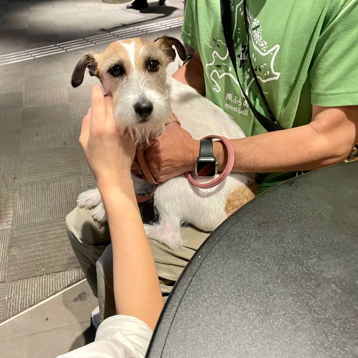 626ae125 9e42 4dc9 ba78 763228f1ef62 1687035256660