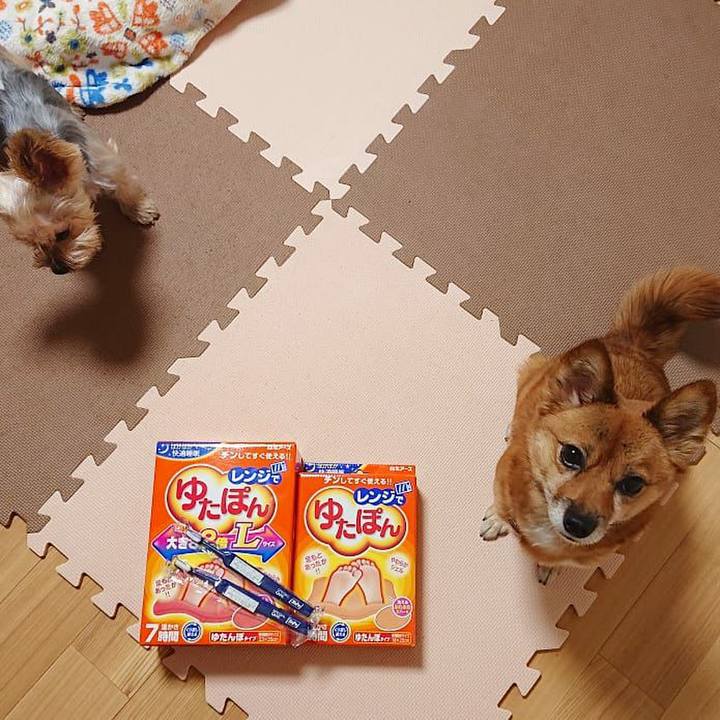 626af30a dc62 498b aebc 2cda848ae85c 1573381182606